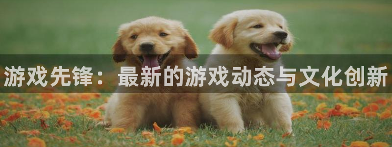鼎点娱乐平台注册开户