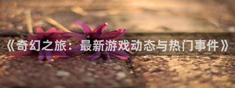 鼎点娱乐手机网页版登录