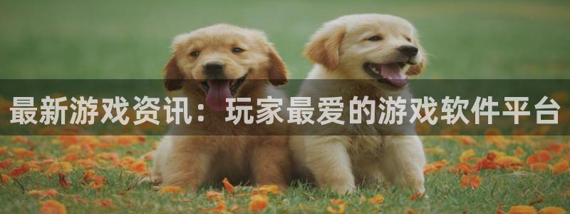 鼎点娱乐平台官网客服电话：最新游戏资讯：玩家最爱的游戏软件平