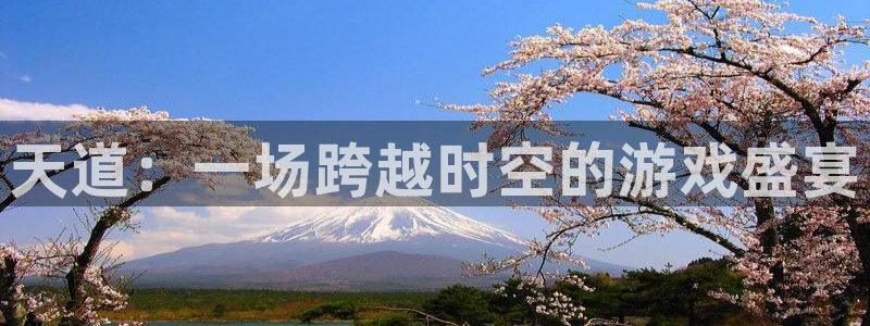 鼎点娱乐app下载：天道：一场跨越时空的游戏盛宴