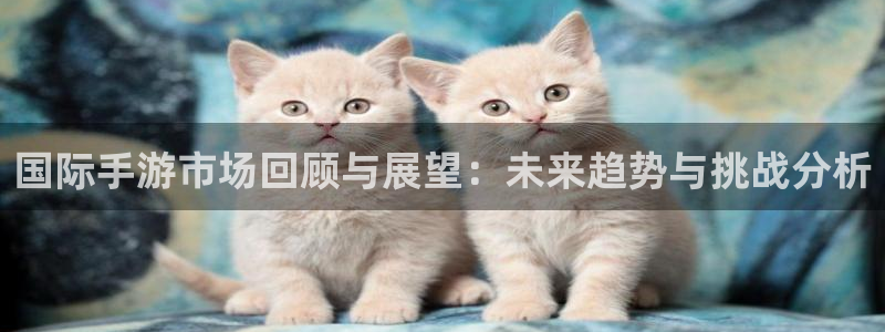 鼎点娱乐注册账号：国际手游市场回顾与展望：未来趋势与挑战分析