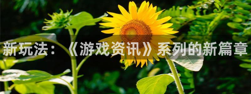 沐春鼎点娱乐：新玩法：《游戏资讯》系列的新篇章