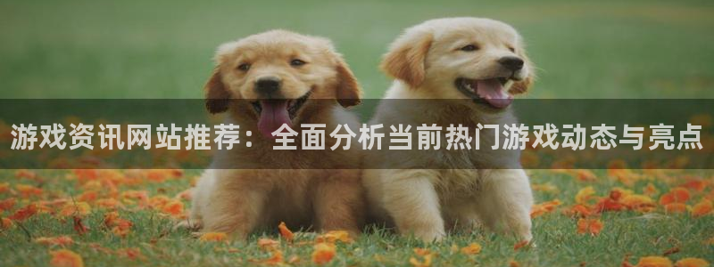 鼎点娱乐集团：游戏资讯网站推荐：全面分析当前热门游戏动态与亮